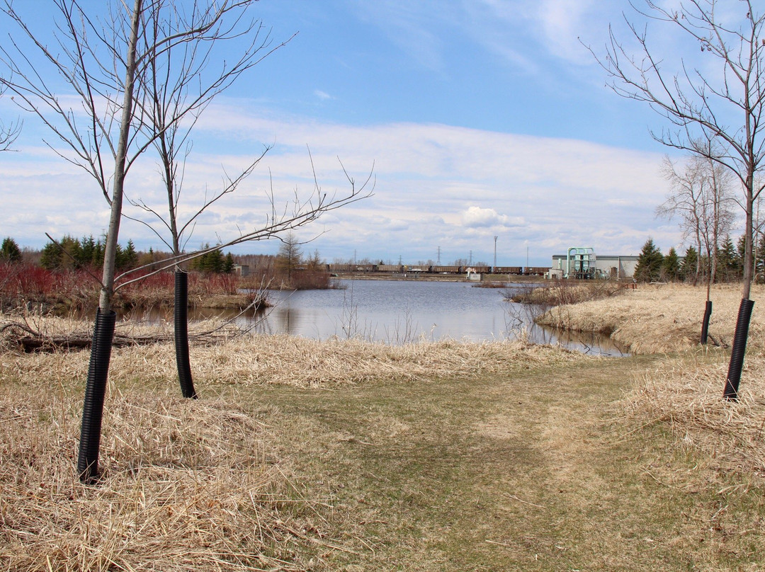 Mission Island Marsh Conservation Area-桑德贝必去景点