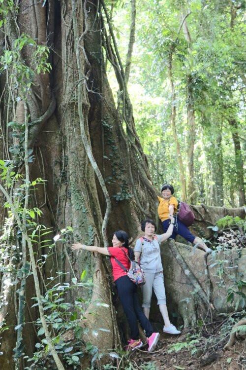 百花岭风景名胜旅游区-琼中黎族苗族自治县必去景点