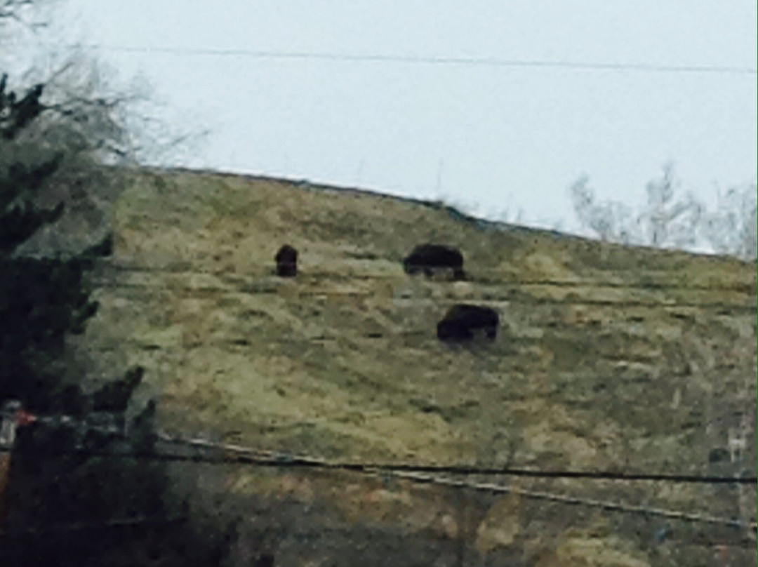 Kendrick Park-谢里登必去景点