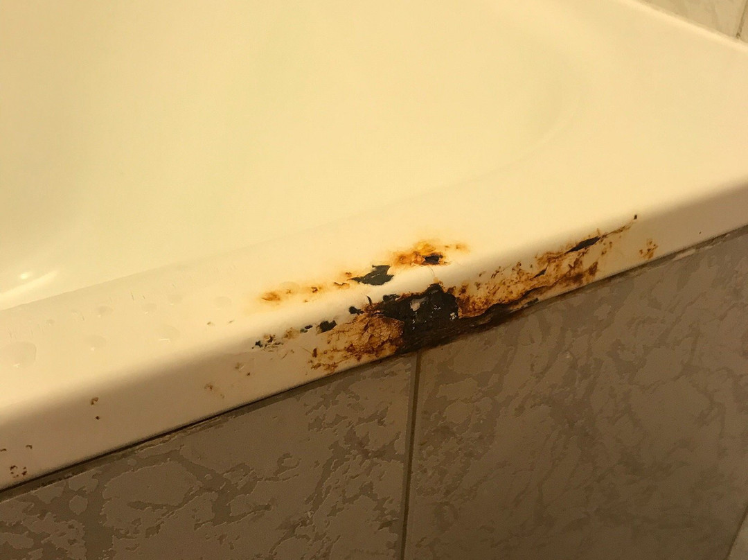 民都鲁园市艾佛利酒店主图