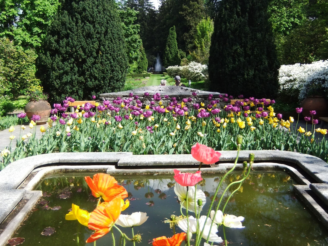 塔兰托别墅植物园景点图片