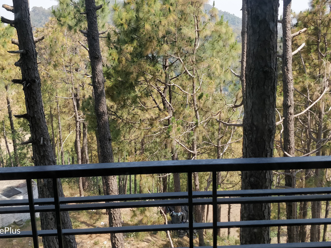 Hotel Barog Heights主图