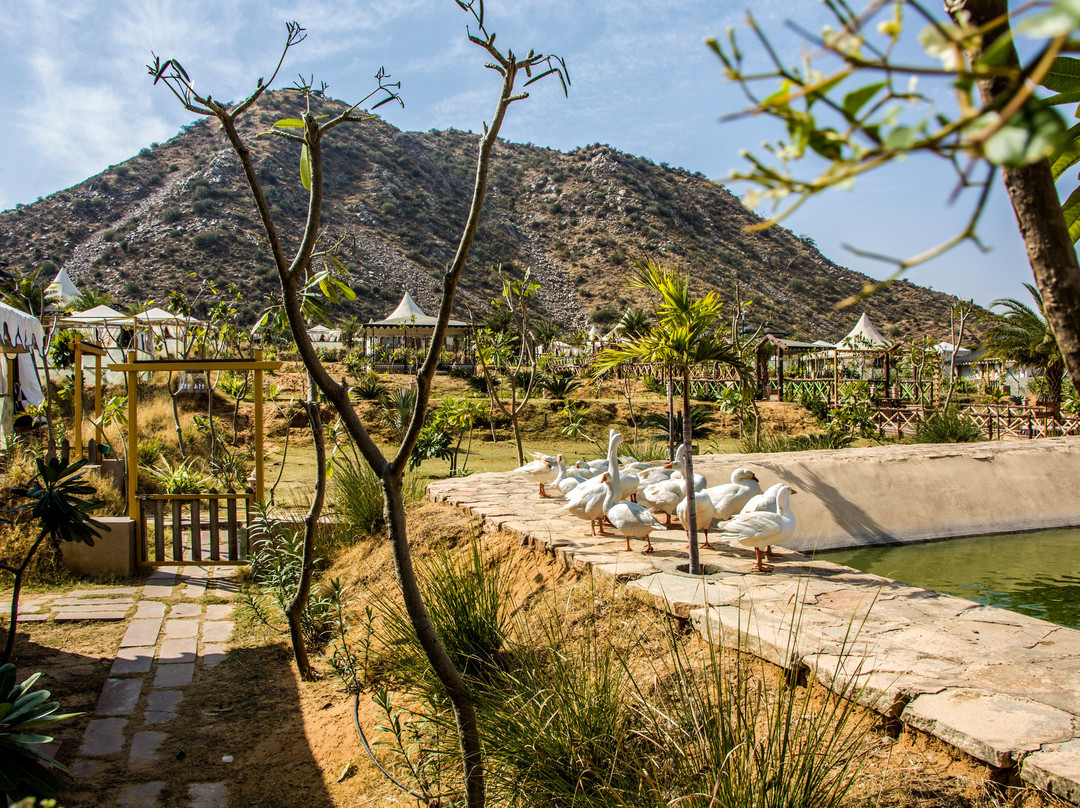 Serene Aravali Resort主图