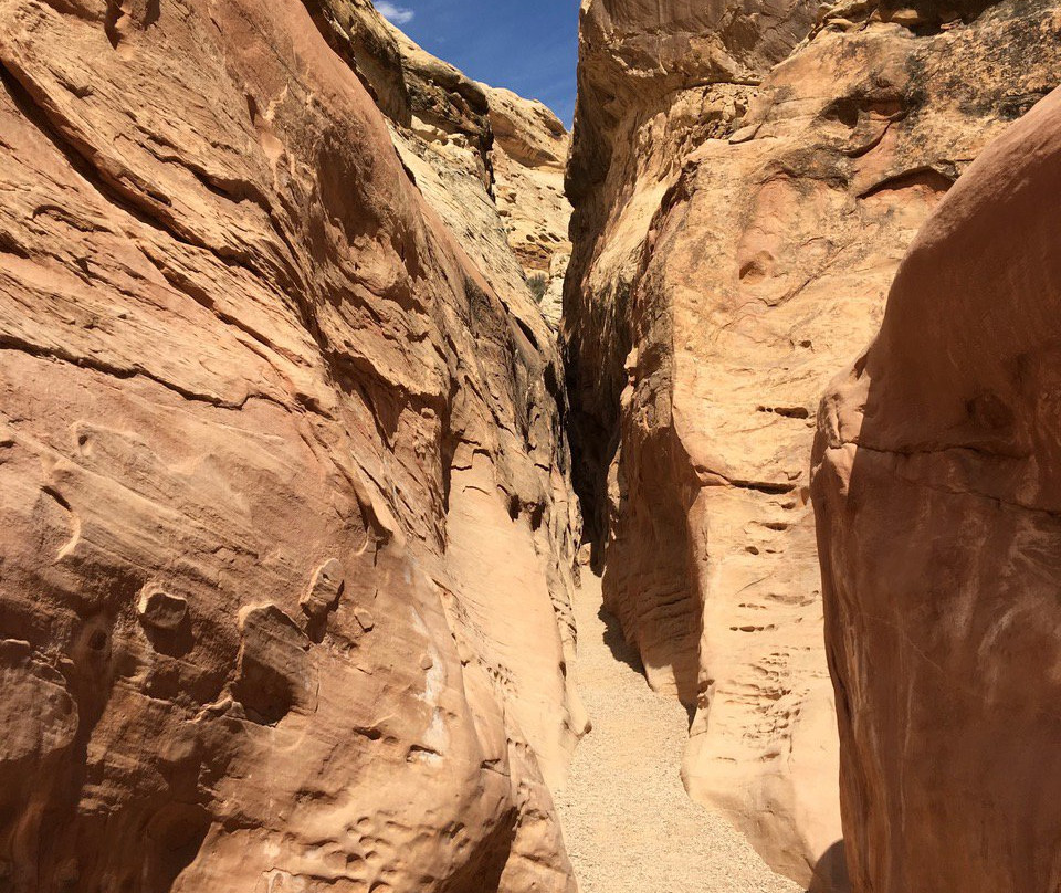 Little Wild Horse and Bell Canyon Trail-格林河必去景点