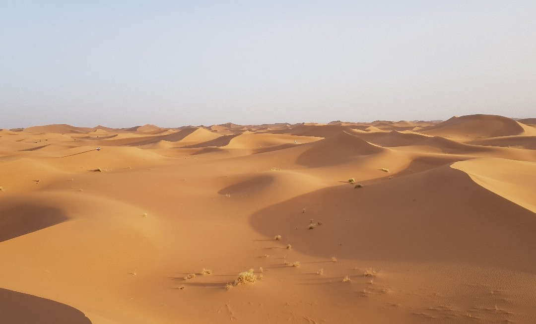 Sahara Feeling景点图片