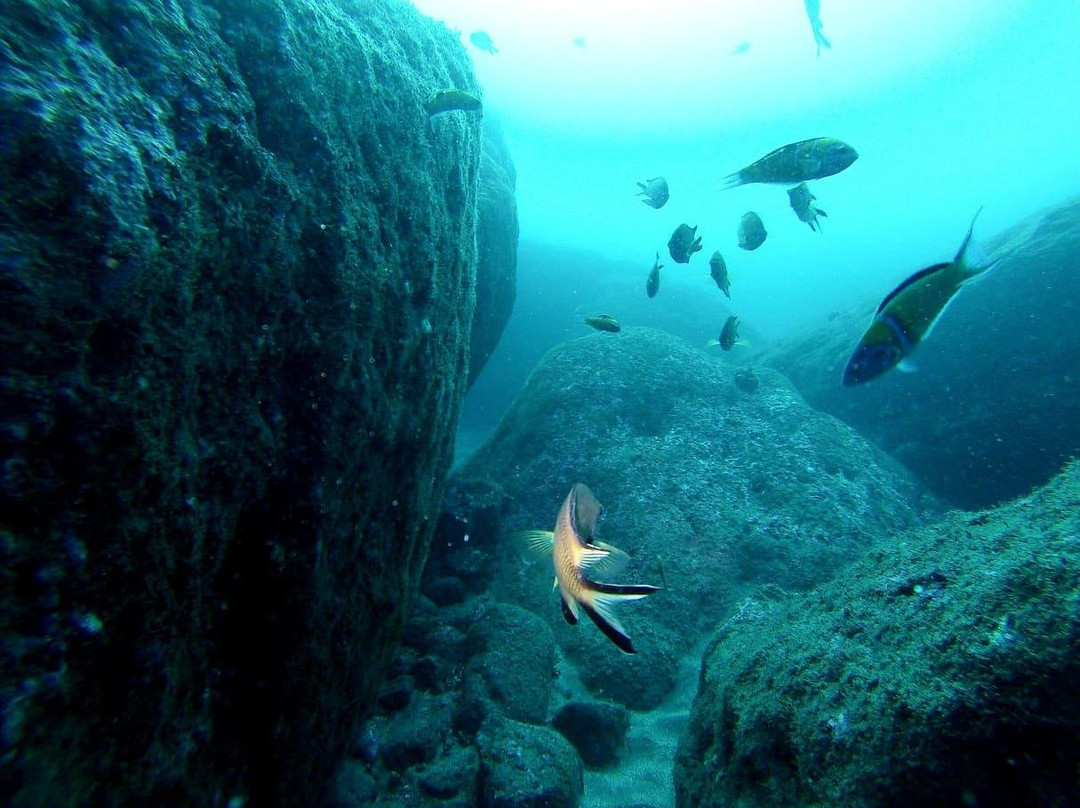 The Ocean Treasures-Porto Formoso必去景点