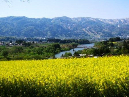 Nanohana Park-饭山市必去景点