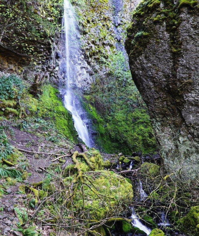 Starvation Creek Ridge Loop-Cascade Locks必去景点