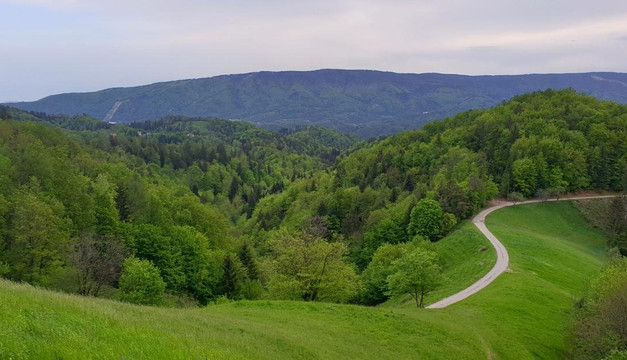 Bike tours Pohorje Maribor-马里博尔必去景点