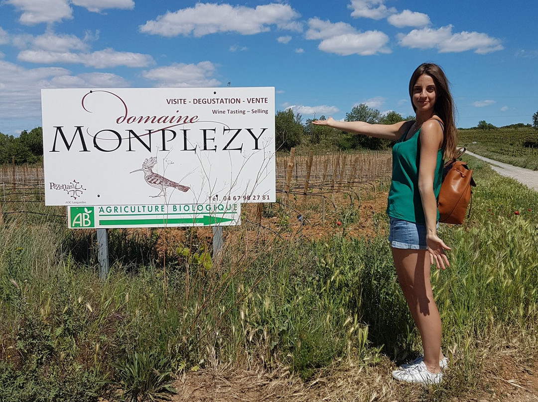 Domaine Monplezy景点图片