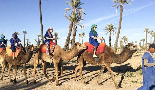 SunsetCamelRideAgadir-Tamraght必去景点