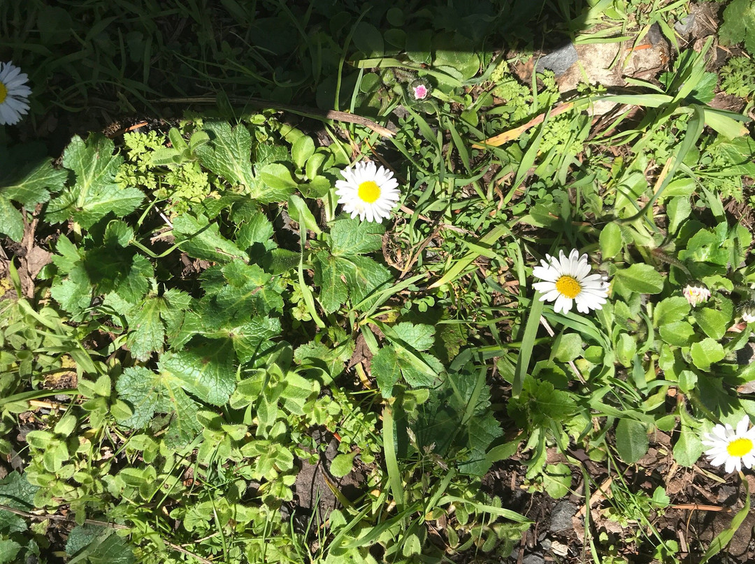 Moorecroft Regional Park-Nanoose Bay必去景点