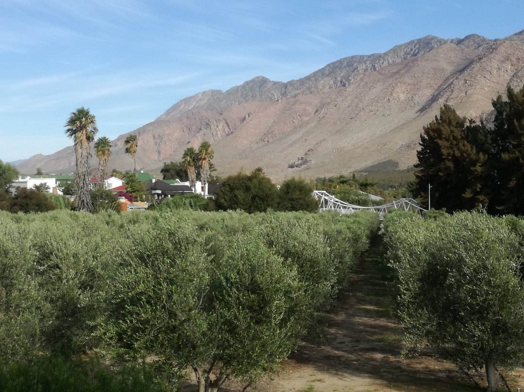 Montagu Vines Guesthouse主图