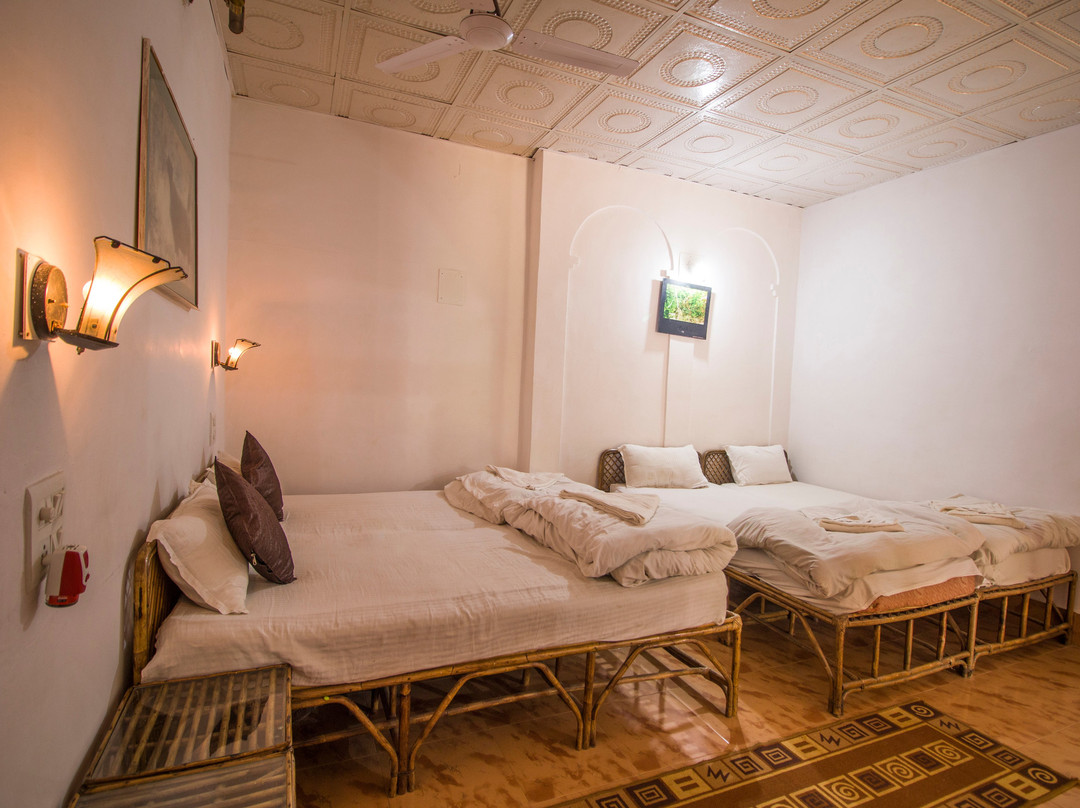 Jungle King Resort主图