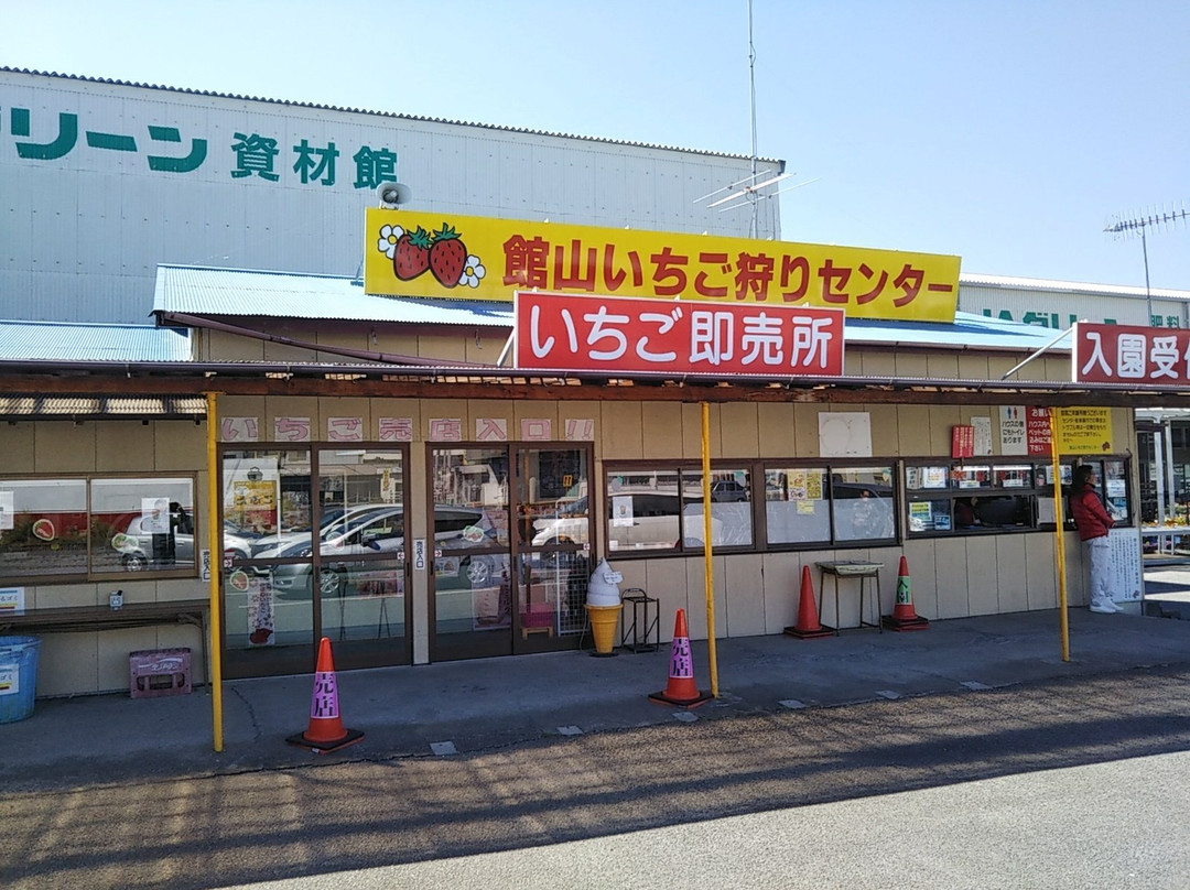 Tateyama Strawberry Picking Center-馆山市必去景点