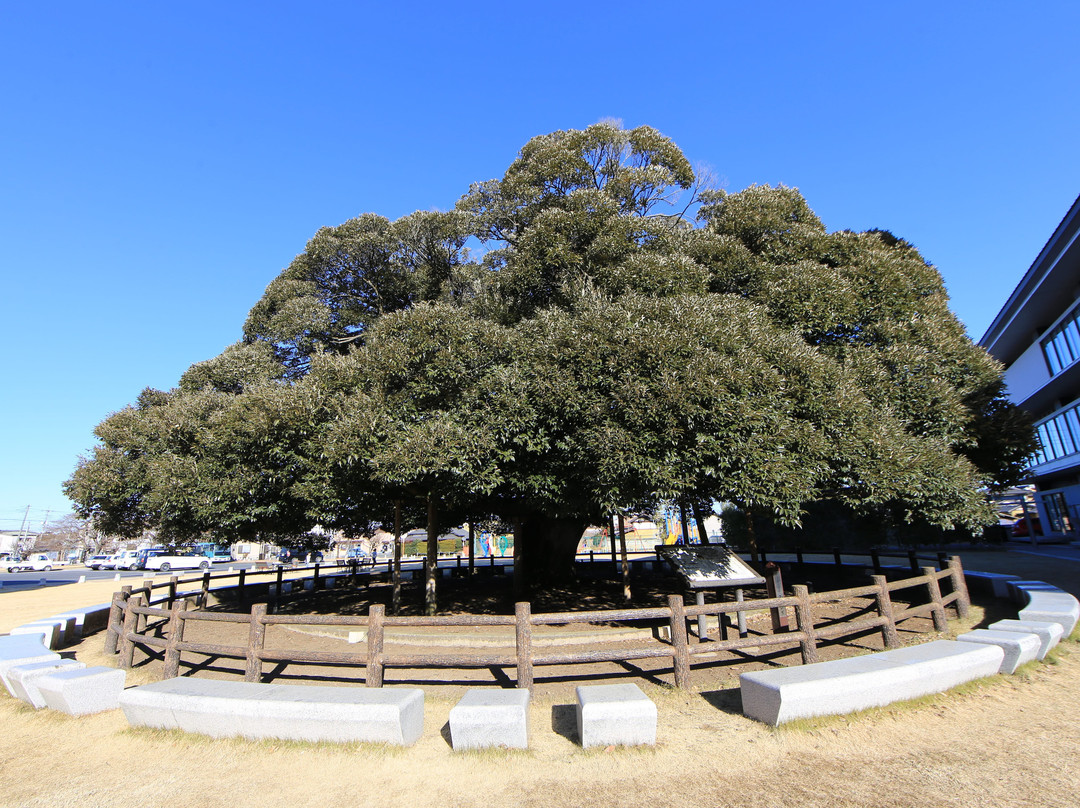 Sudagi Park景点图片