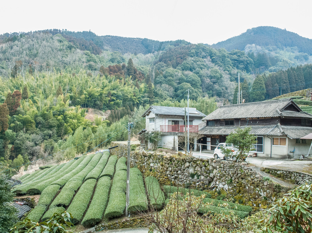 Sky Tea House