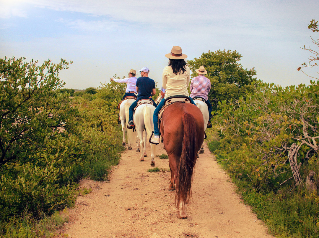 Hacienda Zamna-Baca必去景点
