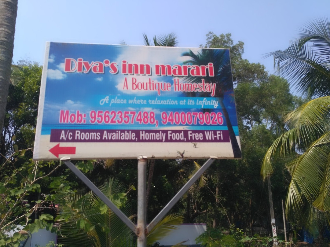 Diya's Inn Marari主图