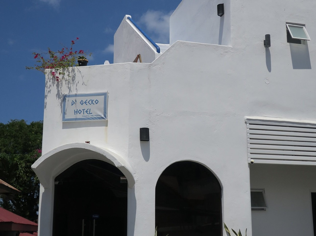 D´Gecko Hotel主图