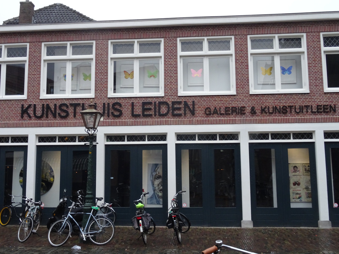 Kunsthuis Leiden景点图片