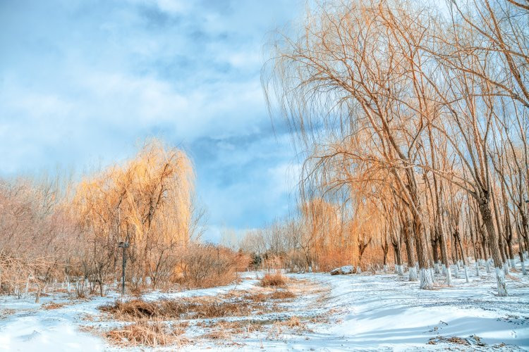 赤峰市旅游景点-赤峰市植物园