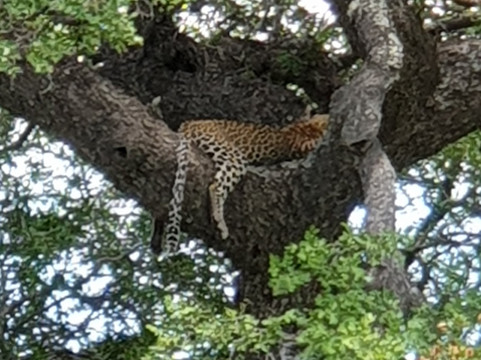 Discover Tours-白河必去景点