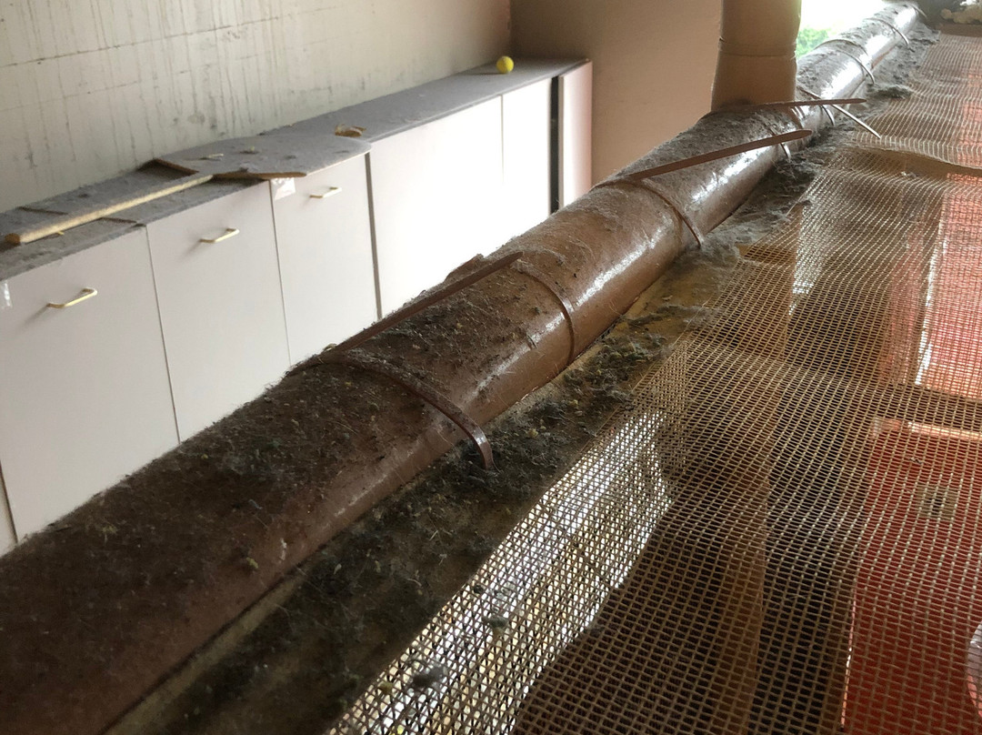 Dizzy Castle-温哥华必去景点