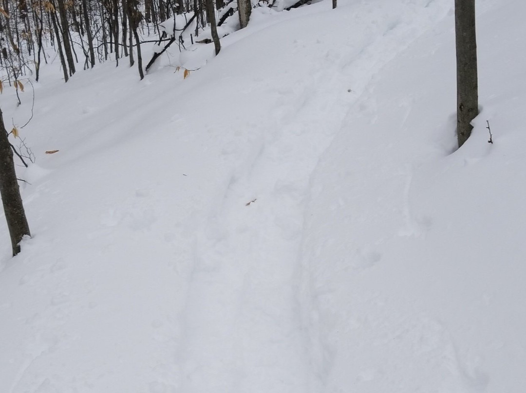 Glacial Hills Pathway and Natural Area景点图片