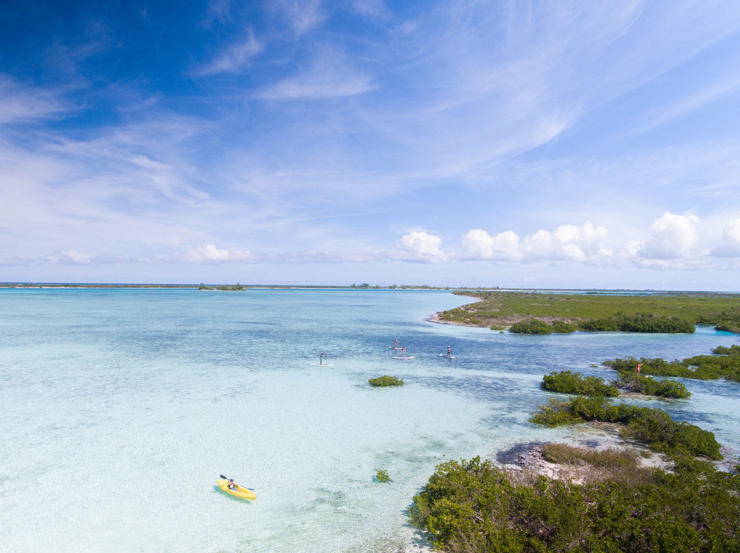 Rising Tide Tours-普罗维登西亚莱斯必去景点