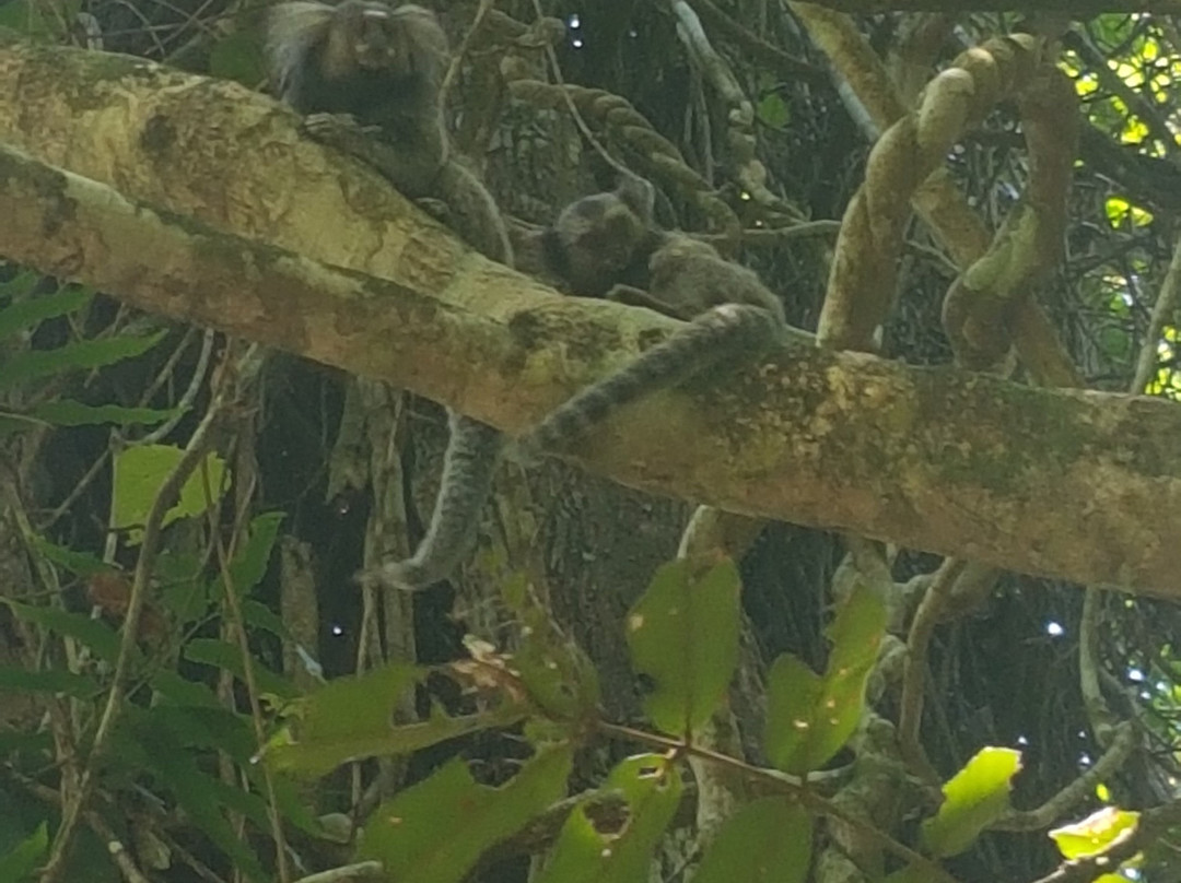 Pousada Lagamar主图