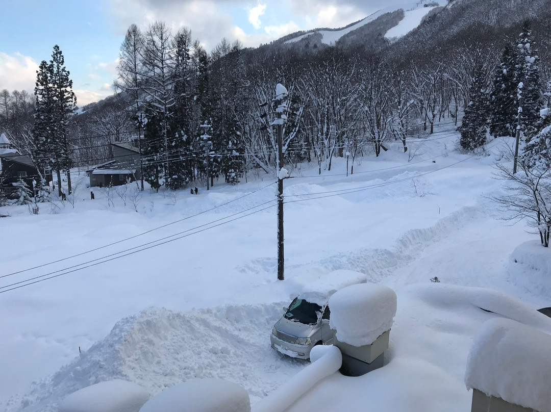 Wadano Forest Hotel & Apartments主图