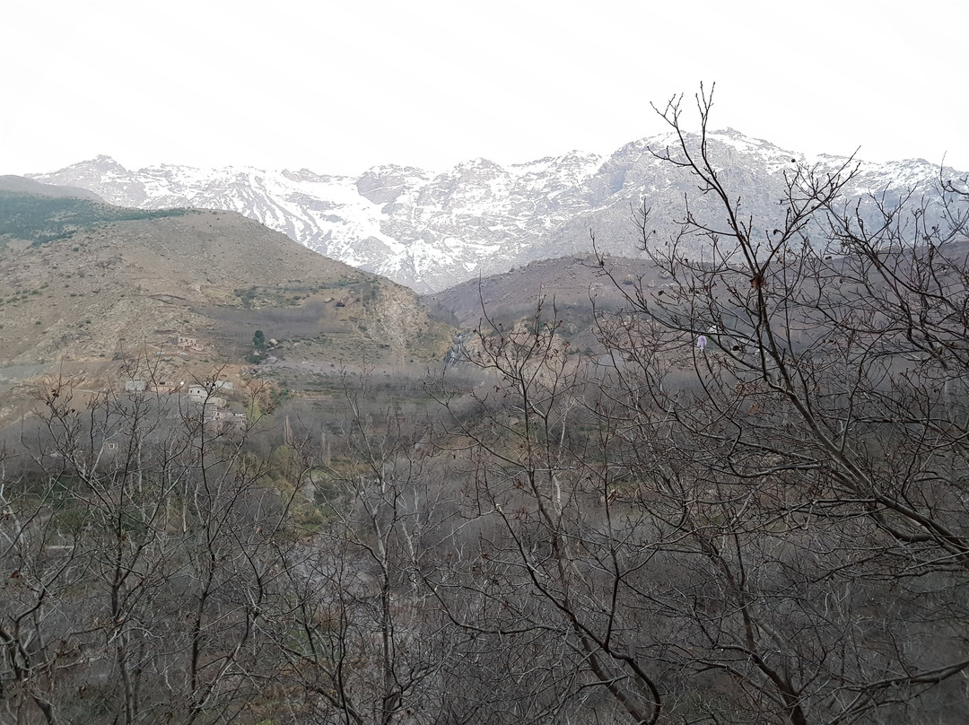 Kasbah Du Toubkal主图