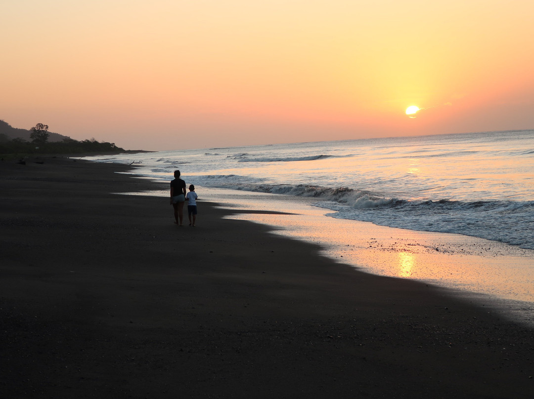 Hotel Playa Cambutal主图