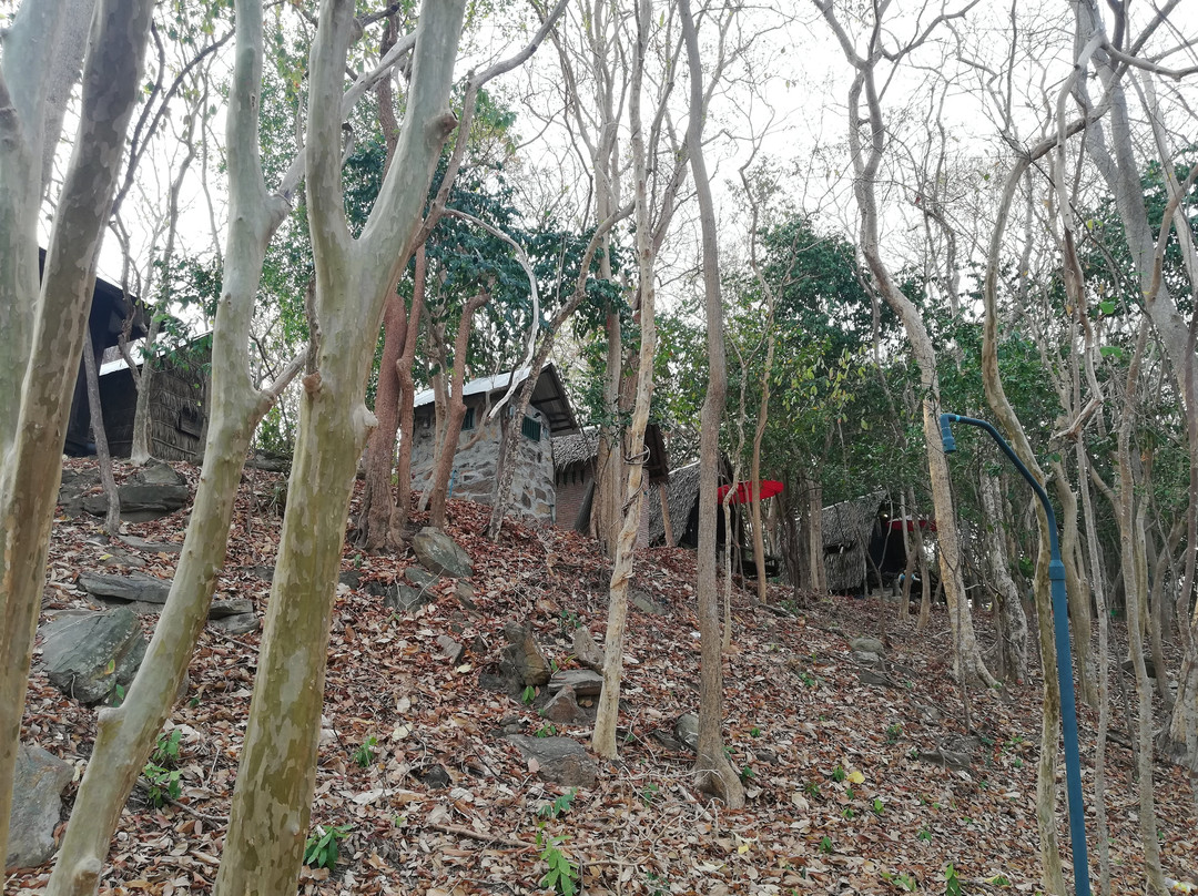 Noina's Mystic Mountain主图