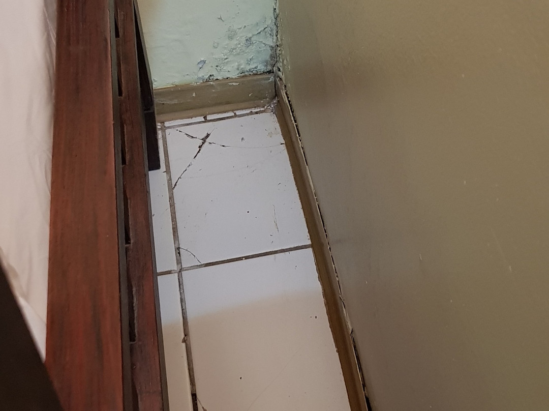 Monitel Koumac主图