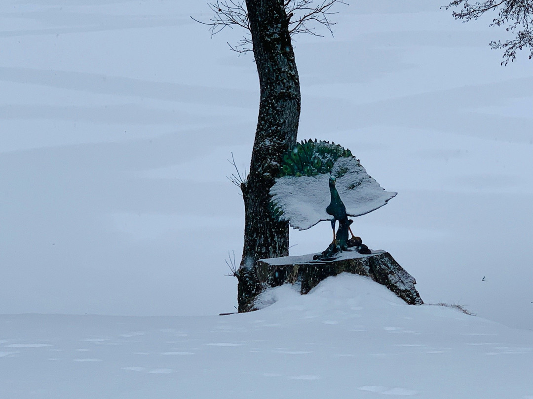 Steinsee-Moosach必去景点