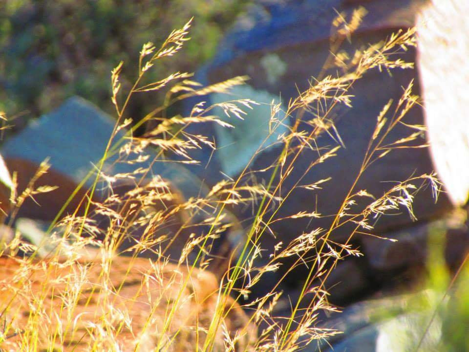 Elandsrus Country Lodge主图