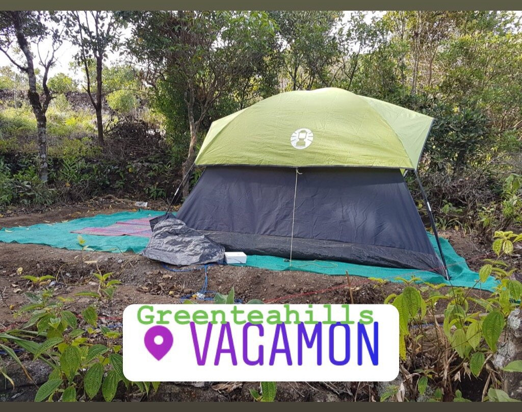 Madammakkulam Waterfalls-伊杜基必去景点