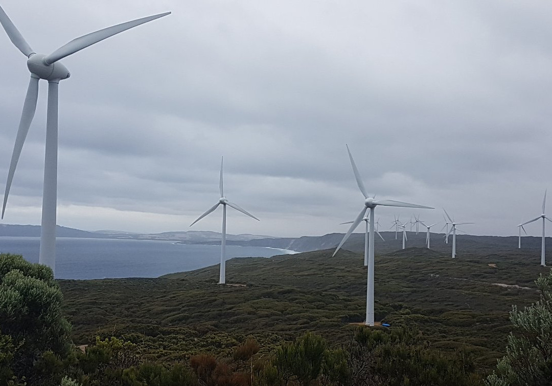 Albany Wind Farm景点图片