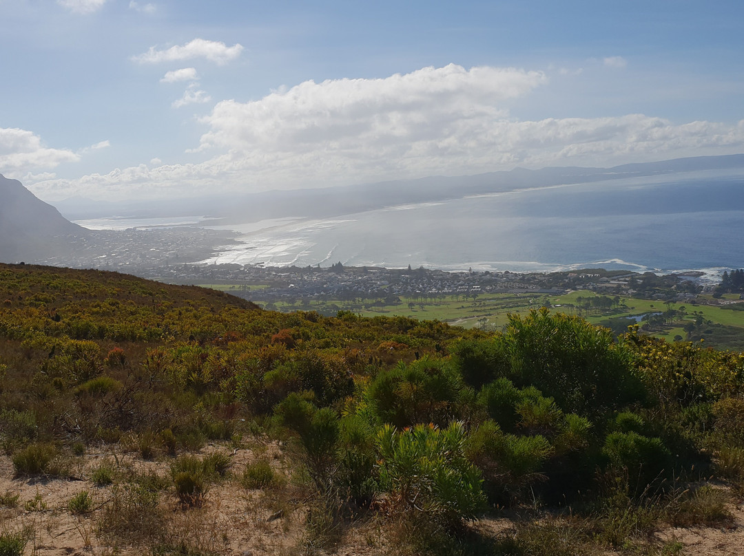 Rotary Way-赫曼努斯必去景点