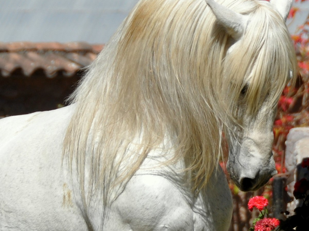 Perol Chico-乌鲁班巴必去景点