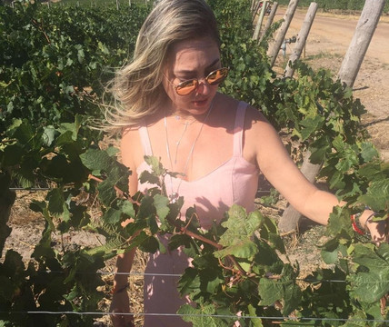 Adventure Cape Town-开普敦中心区必去景点