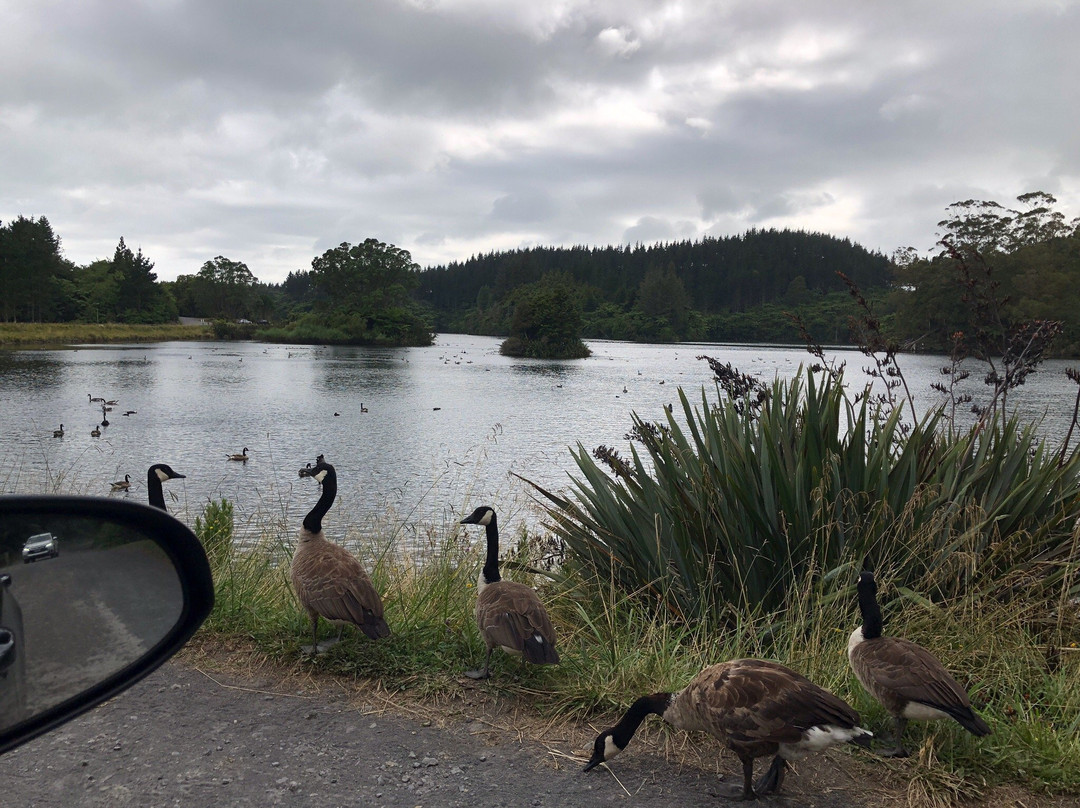 Burgess Park (Meeting of The Waters)-新普利默斯必去景点