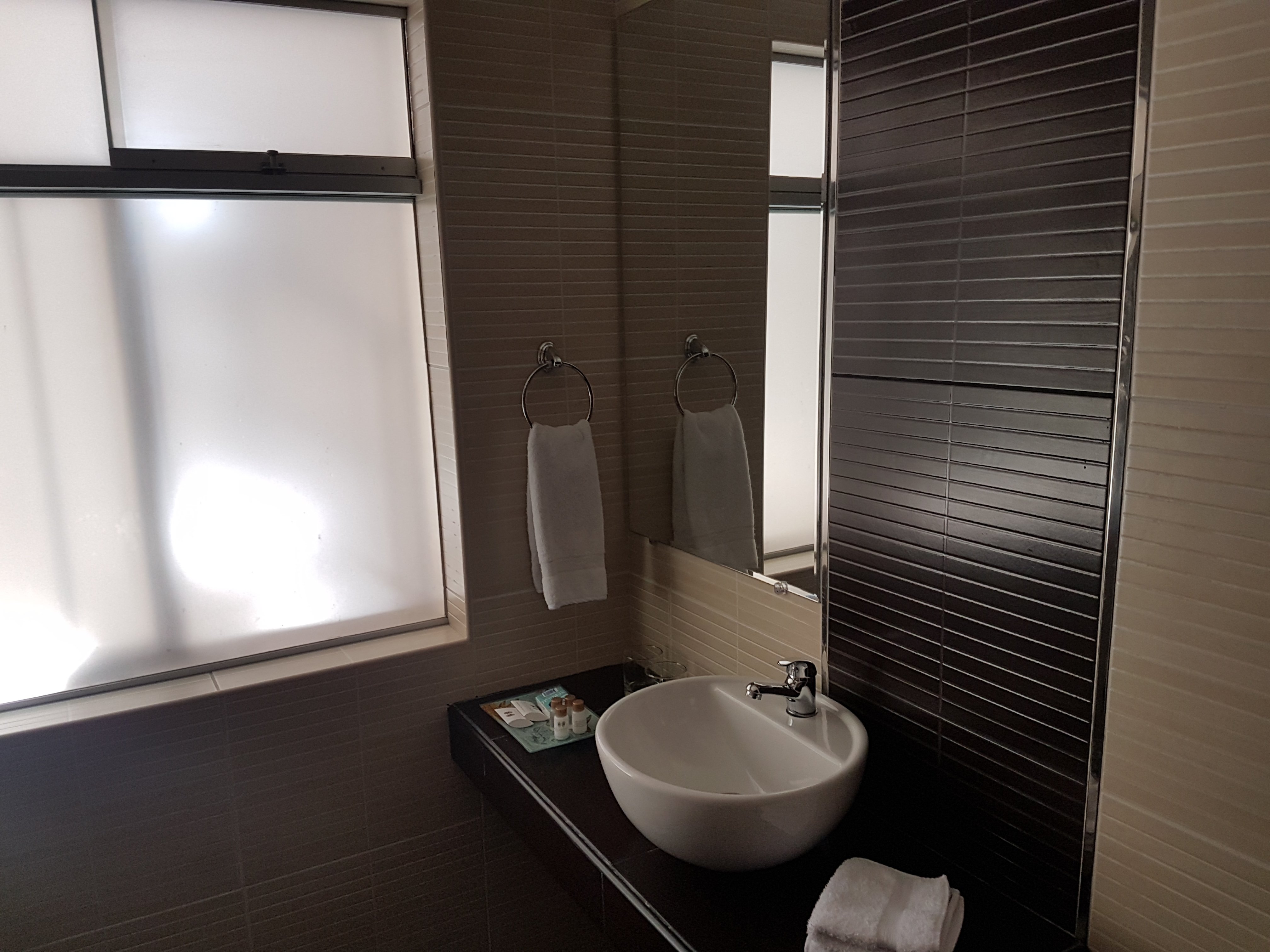 Los Leones Hotel Boutique-浴室