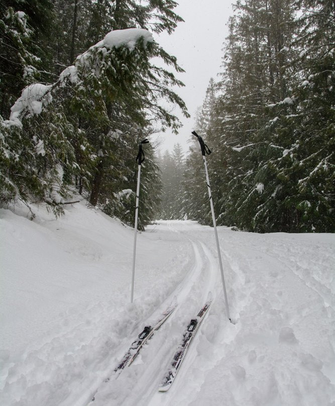 Kaslo Nordic Ski Club景点图片