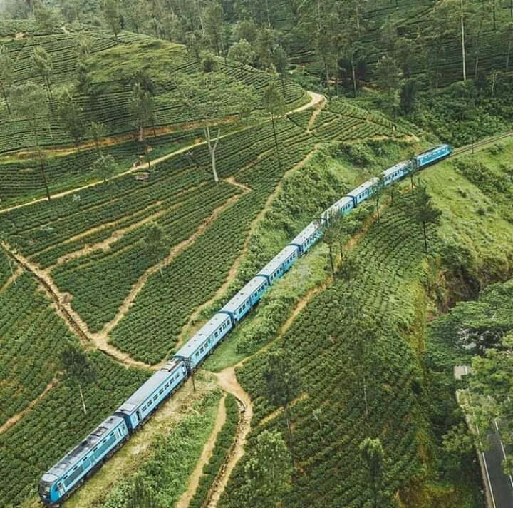 Lanka Blue Way Tours-Polgahawela必去景点