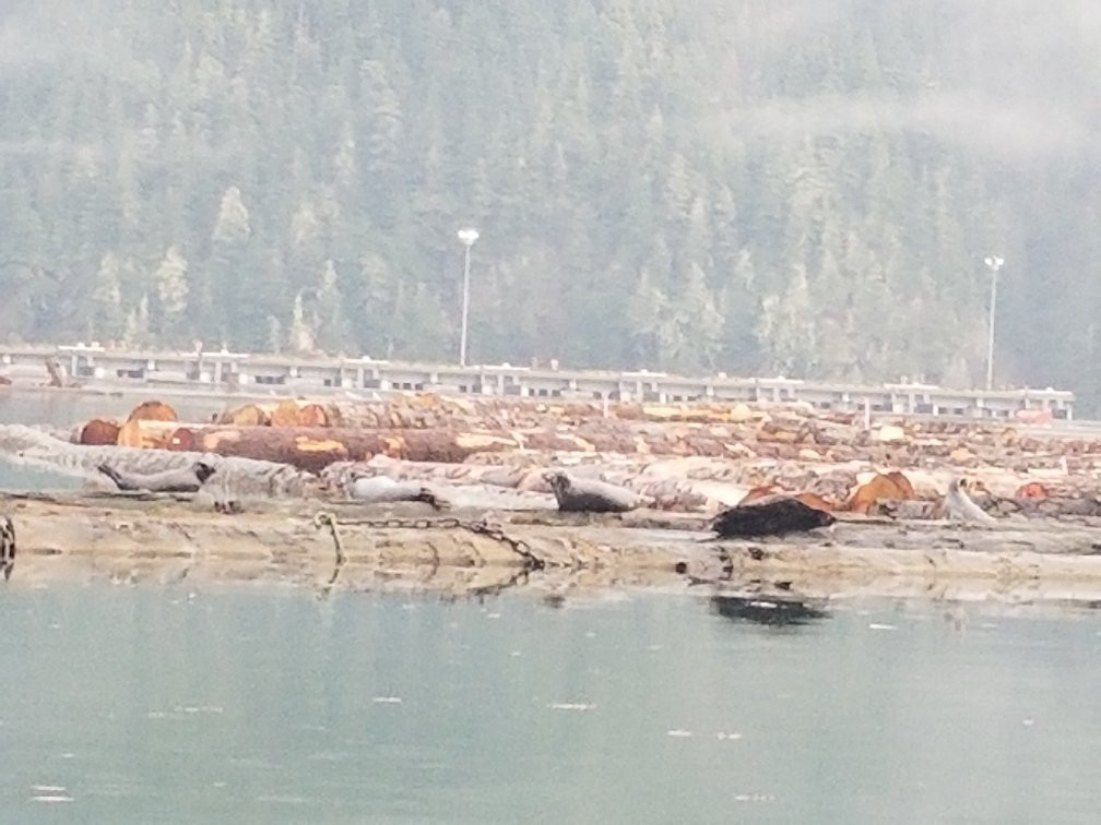 Wild Northern Adventures-Stewart必去景点