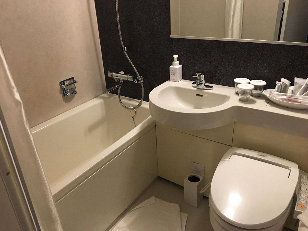 札幌大通里士满酒店主图