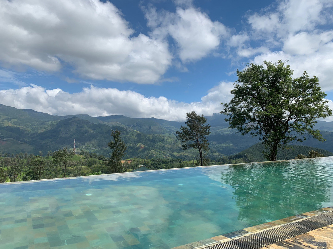 玛杜可茶园生态旅馆主图